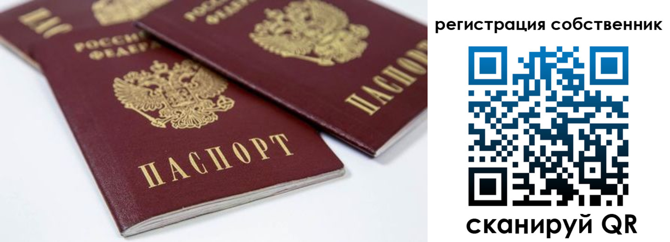 прописка для школы в Мурманской области